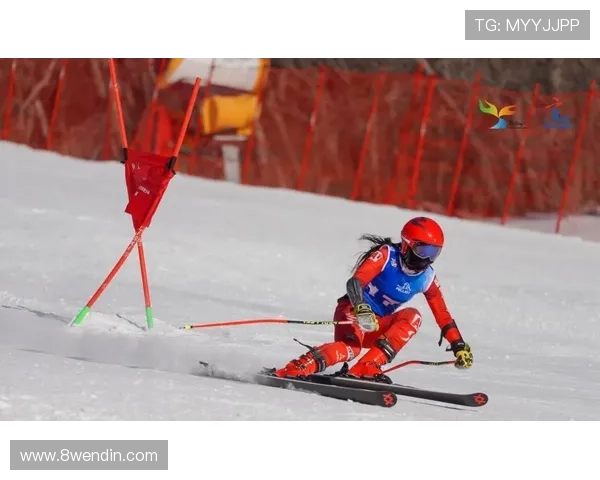 2026年北京青少年滑雪比赛精彩回顾与成绩分析
