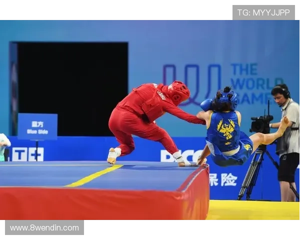 2026年散打比赛精彩视频回顾与精彩瞬间分析